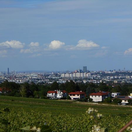 Top Over Vienna, Perchtoldsdorf Weinberge Ideal With Car Apartamento Exterior foto